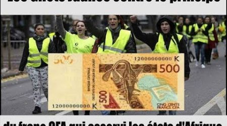 Les gilets jaunes contre le principe du Franc CFA et sa production en France
