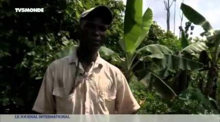 TV5  Scandale   Le Mont Peko toujours occupé par les populations Burkinabè   YouTube