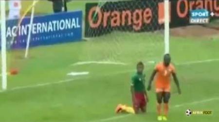 Cameroun vs Côte d'Ivoire (4-1) | Qualifications CAN 2015